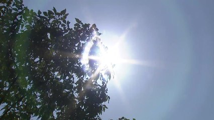 [날씨] 전국에 최고 36℃ 폭염...동해안 내일 첫 열대야 / YTN