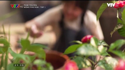 Mộng phù hoa - Tập 01