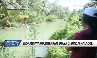 Buaya Liar di Sungai Malaoge Terkam Warga