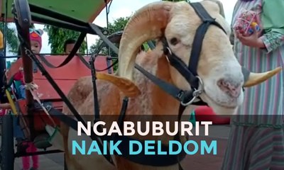 Ngabuburit Naik Deldom