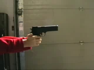 pinnacle Studio: Schot en Bloed