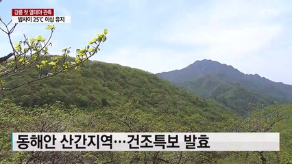 밤사이 '강릉' 열대야...5월 들어 3번째 / YTN