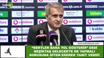 Şenol Güneş, 