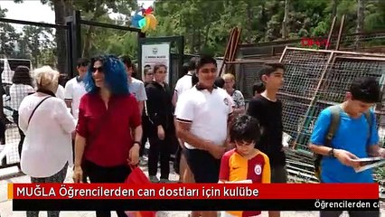 MUĞLA Öğrencilerden can dostları için kulübe
