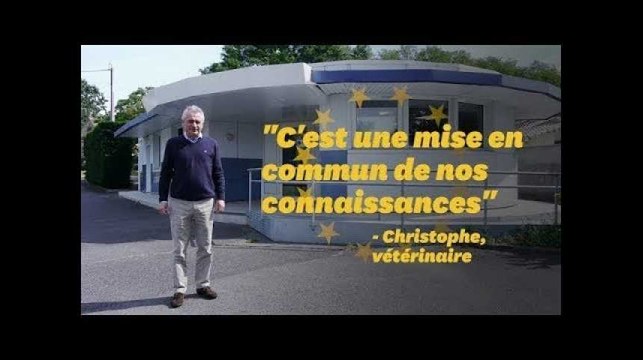 Européennes 2019: ça veut dire quoi pour ce vétérinaire?