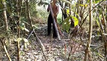 primitive technology Build Wood House In Wild By Ancient Skills