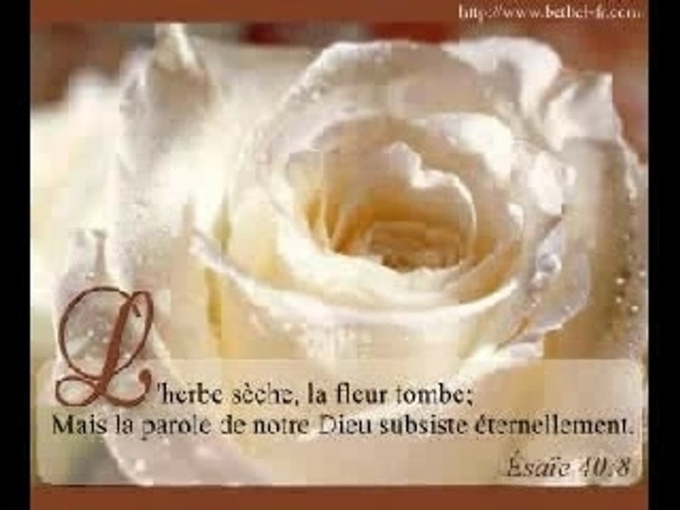 Seigneur je t'aime  (Thomas et  Claire Chauliac)