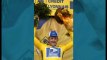 Lance Armstrong ne regrette pas s’être dopé pour gagner 7 fois le Tour de France