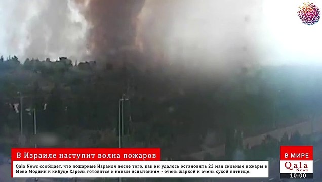 Волна пожаров: Израиль на пороге введения чрезвычайного положения