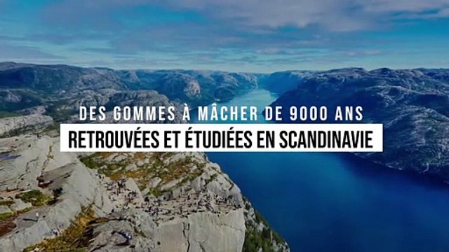 Des gommes à mâcher de 9000 ans retrouvés et étudiées en Scandinavie