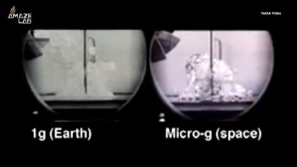 Check Out the Bizarre Way Water Boils in Space