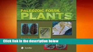 Trial New Releases  Paleozoic Fossil Plants by Bruce L. Stinchcomb