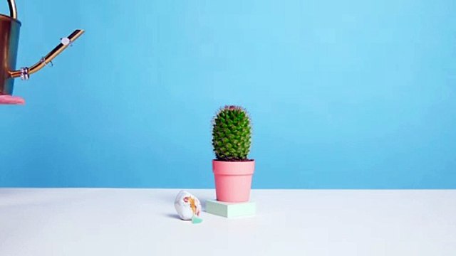 Le look graphique : LA tendance bijoux du moment !