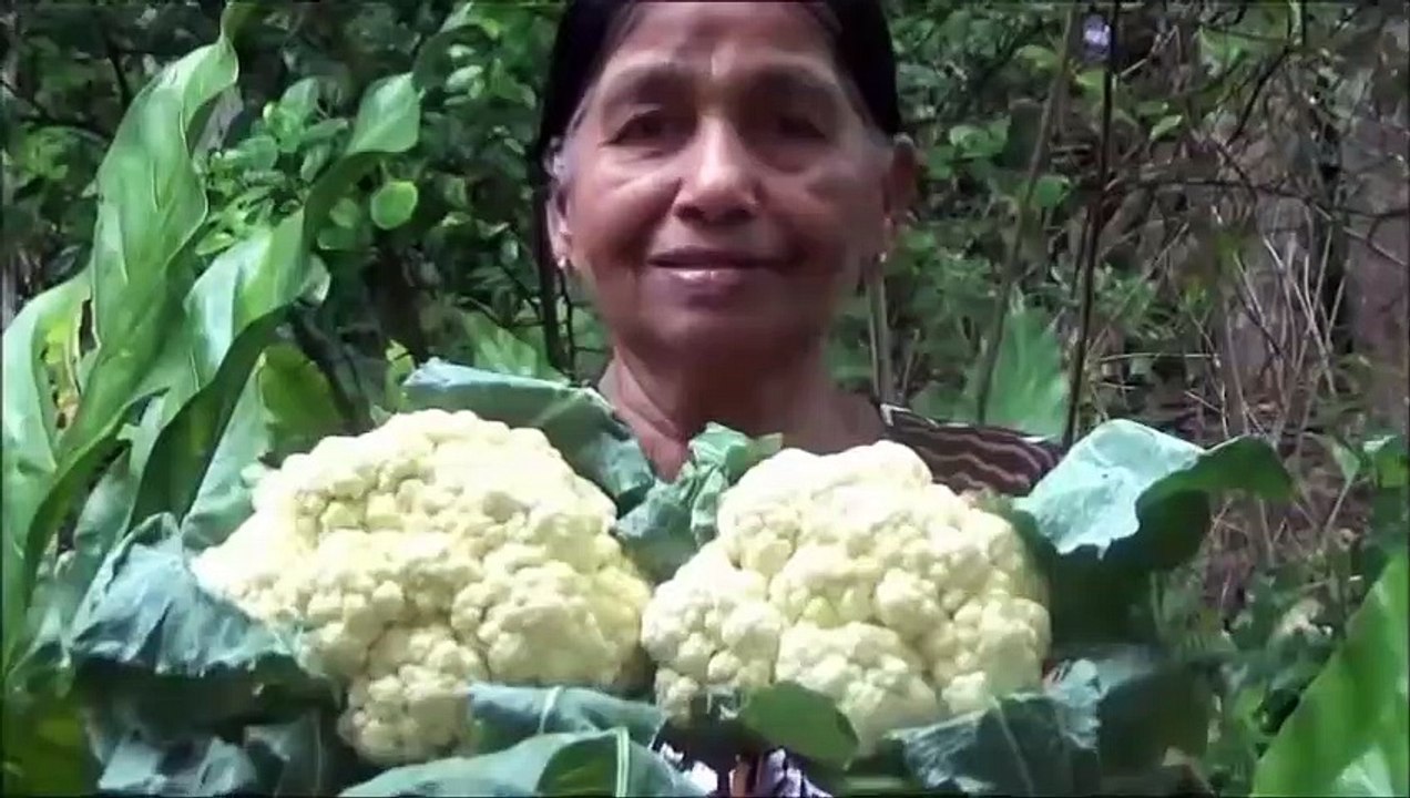 Village des Aliments de cuire le chou-fleur dans mon Village par ma Maman