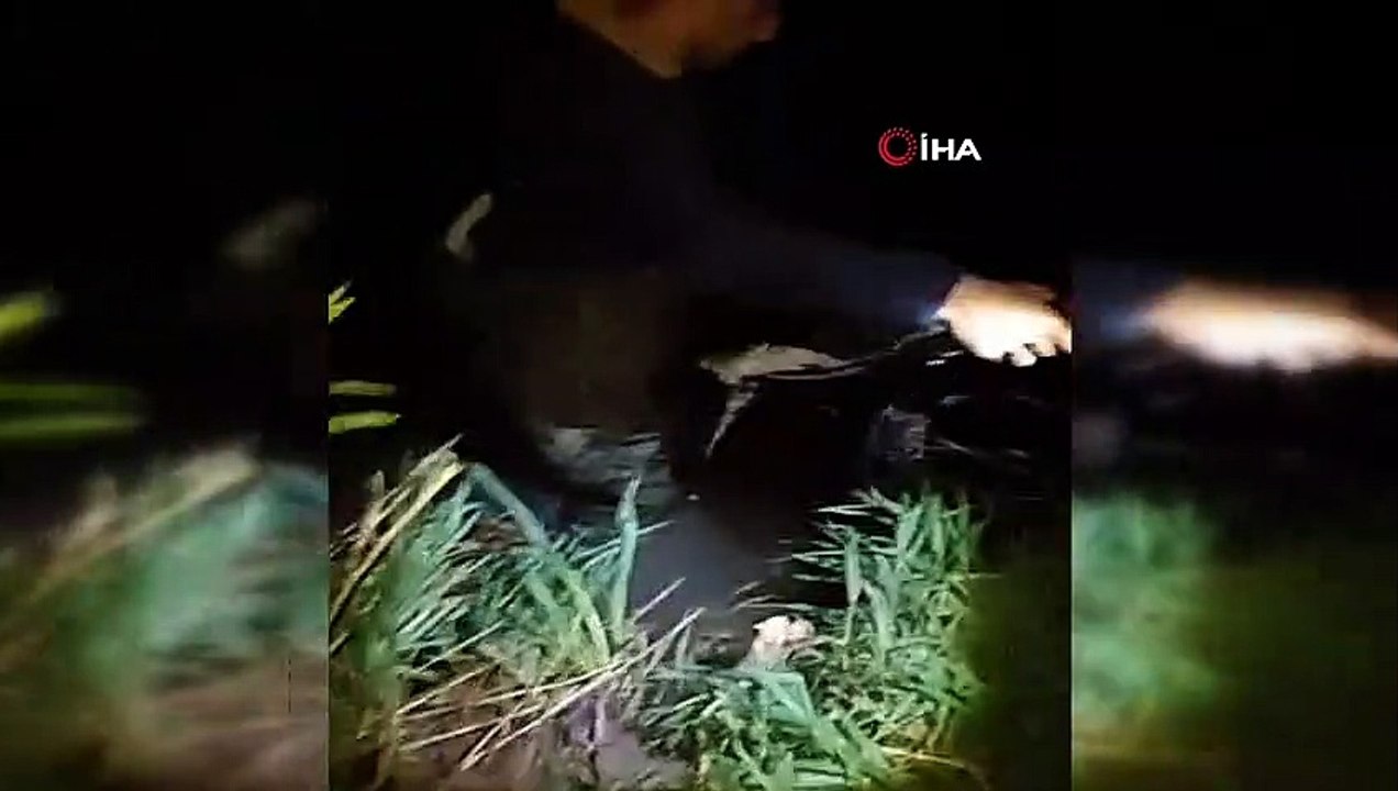 Jandarma 510 metre manyat ağ ile bin 250 kilo inci kefali ele geçirdi