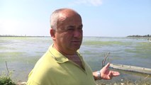 Ndotet laguna në Lezhë, banorët: Shkak, ujërat e zeza - Top Channel Albania - News - Lajme