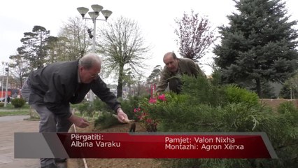 Krijohet këndi i veteranëve të arsimit në Gjakovë-Lajme