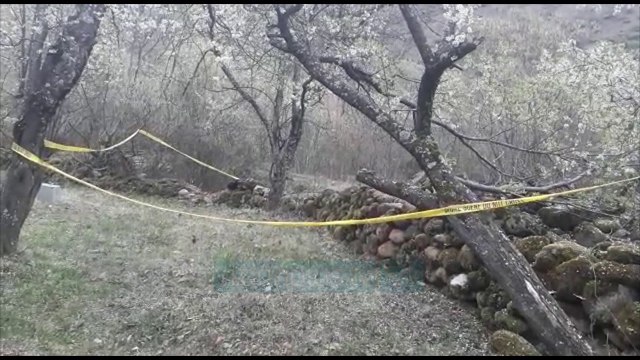 U plagos me granatë, niset me helikopter drejt Tiranës vajza - Lajme - Vizion Plus