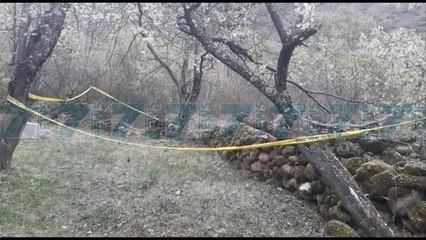 TRAGJIKE/ U SHPERTHEU GRANATA , VDES 11 VJEÇARI, PLAGOSET MOTRA - News, Lajme - Kanali 7