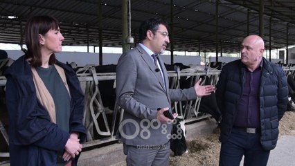RTV Ora - Qeveria jep 10 lek për çdo litër qumësht të shitur nga fermerët