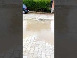 Reshjet e shiut shkaktojnë telashe për banorët e Tetovës