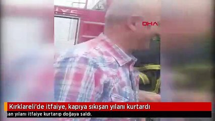 Kırklareli'de itfaiye, kapıya sıkışan yılanı kurtardı