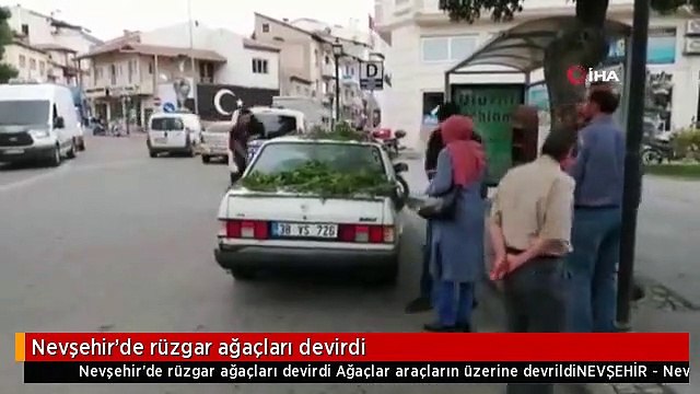 Nevşehir'de rüzgar ağaçları devirdi