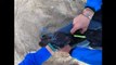 Kayaker in Namibia films himself rescuing multiple baby seals trapped in netting