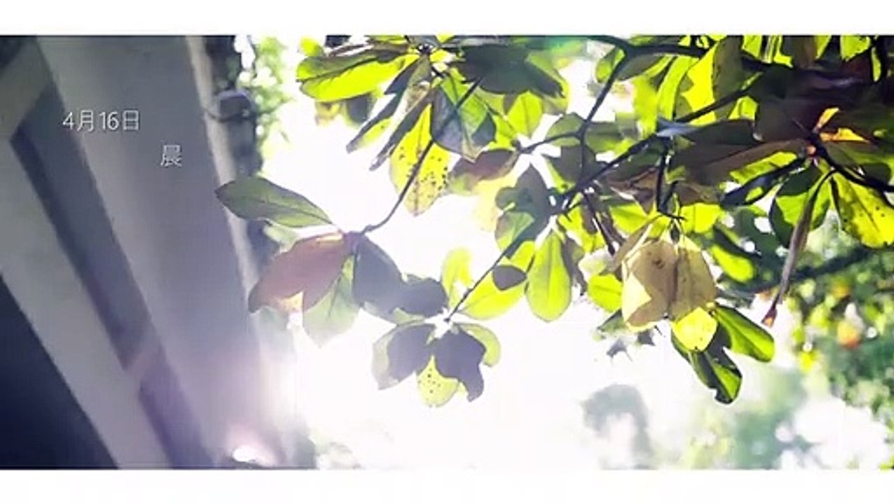 【男友视角】春日少女的香气 ⁄(⁄ ⁄•⁄ω⁄•⁄ ⁄)⁄