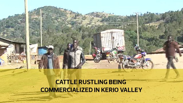 Cattle rustling being commercialized in Kerio Valley