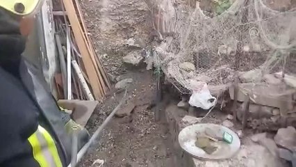 Bodrum'da ağa takılan yılan kurtarıldı