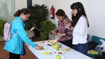 TVO-1341 (26 DE ABRIL DEL 2019)