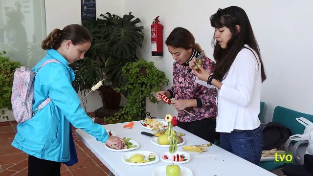 TVO-1341 (26 DE ABRIL DEL 2019)