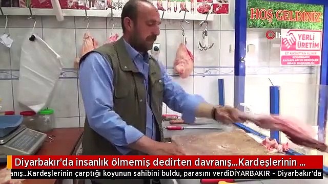 Diyarbakır'da insanlık ölmemiş dedirten davranış...Kardeşlerinin çarptığı koyunun sahibini buldu,...