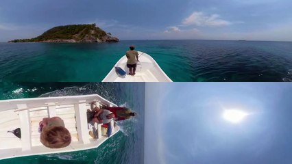 Navega en 360º hasta el Árbol Olvidado - VÍDEO 360º | Supervivientes