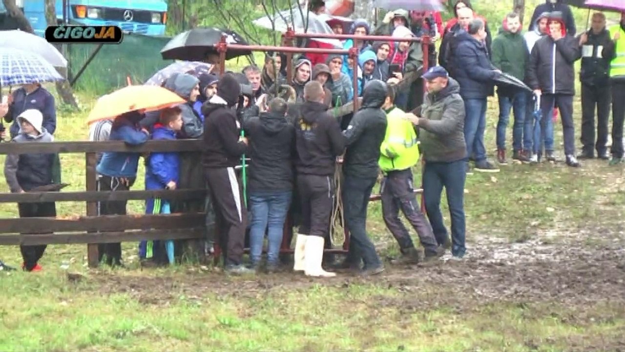 KUKAN PERAN SESTANOVAC 2019