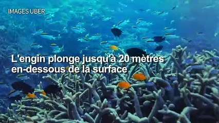 Un sous-marin Uber pour découvrir la Grande barrière de corail