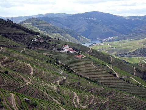 Douro 2019 : deux croisières et de la bonne humeur avec les Lecteurs voyageurs