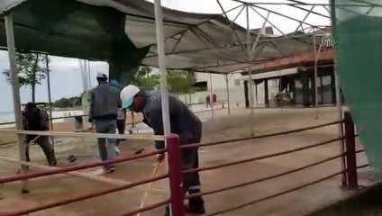 Kocaeli'de şiddetli rüzgar etkili oldu - KOCAELİ