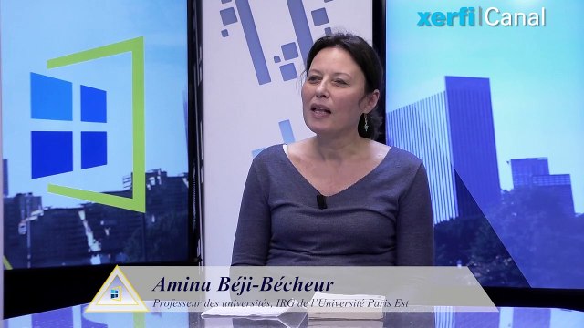 La gestion des entreprises sociales et solidaires [Amina Béji-Bécheur]