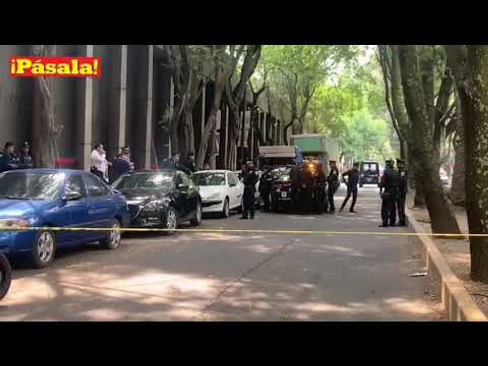 Presunto 'rata' pierde la vida en la colonia Condesa