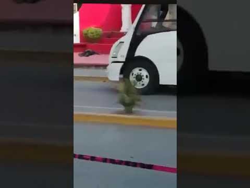 Ataque a autobús del CEFERESO en Puente de Ixtla en Morelos