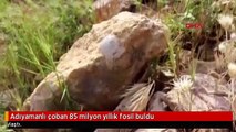 Adıyamanlı çoban 85 milyon yıllık fosil buldu