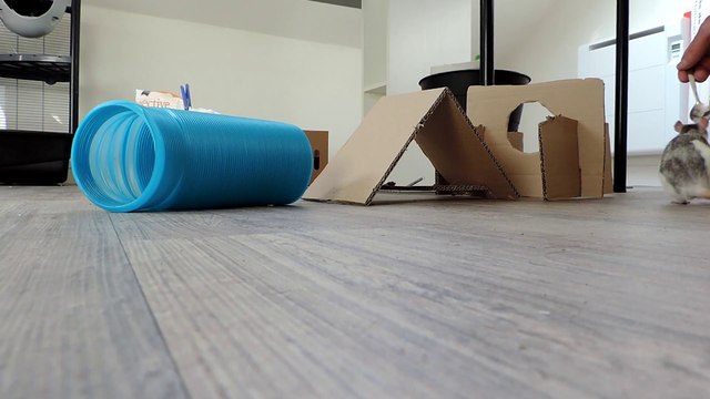 Tic et Tac 1er parcours