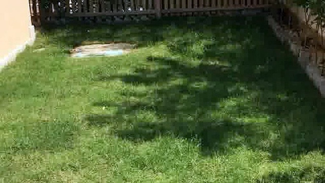 فيلا توين هاوس بنصميم مذهل مفروشة بالكامل للأيجار في أيزولا مراسى