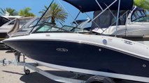 2019 Sea Ray 190 SPX outboard offered by MarineMax, Venice Fl.
