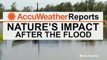 Bernie Rayno breaks down Nebraska flood impacts from March