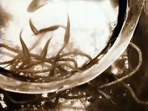 Stalker (Сталкер) (1979) trailer