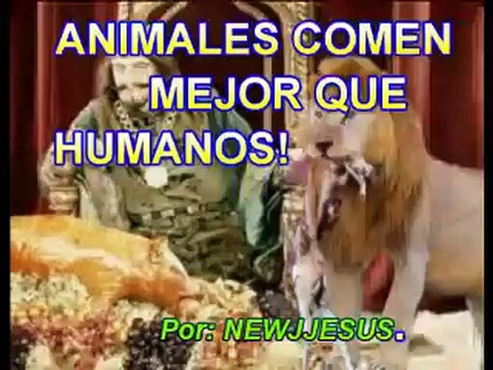 ANIMALES COMEN MEJOR QUE HUMANOS!!-
