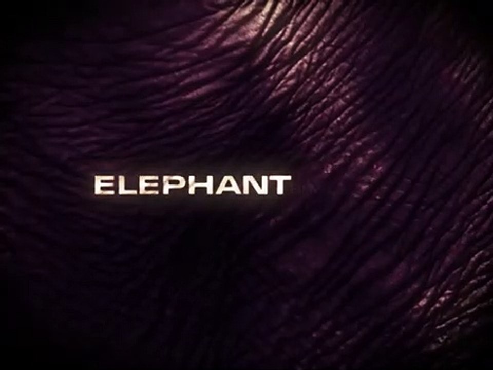 Bande-annonce (Trailer) La Loi de Lynch (This Day and Age) de Cecil B. DeMille (DVD / VOSTFR)